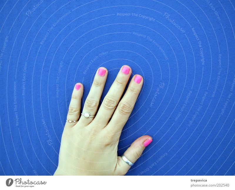 hand feminin Junge Frau Jugendliche Hand Finger Mauer Wand Accessoire Schmuck Ring blau rosa Kitsch Farbfoto Hintergrund neutral Kontrast berühren Nagellack