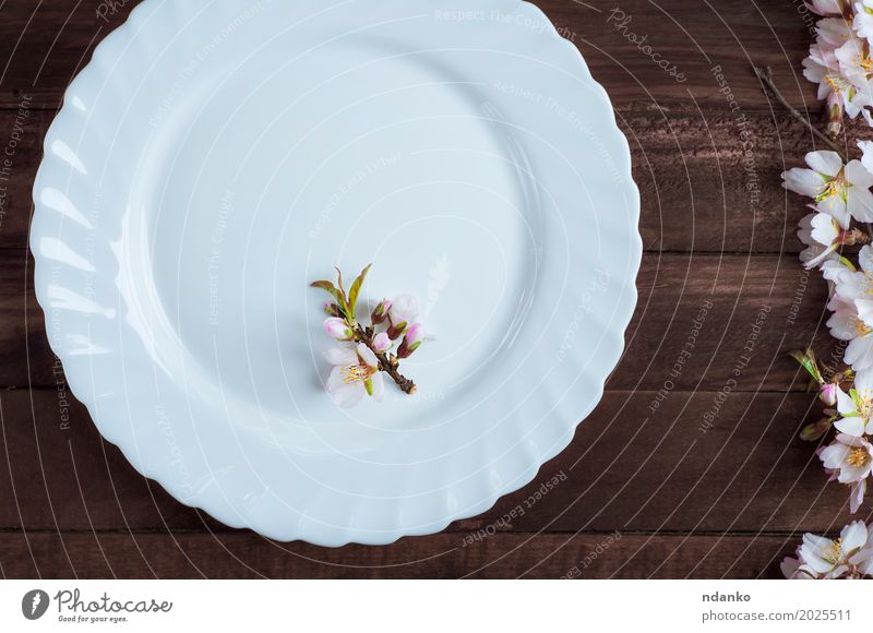 leere Platte mit einem Zweig der blühenden Mandel Mittagessen Abendessen Teller Besteck Tisch Küche Restaurant Blume Holz alt oben retro braun weiß Speise