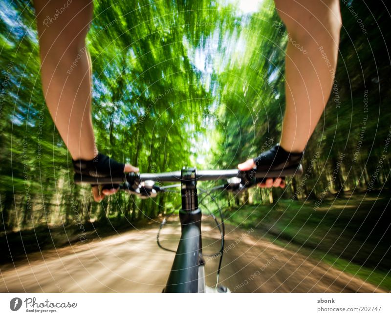 ride again Freizeit & Hobby Ferien & Urlaub & Reisen Fahrradtour Sommer Sonne Sport Fahrradfahren Mensch maskulin Junger Mann Jugendliche Erwachsene Arme 1
