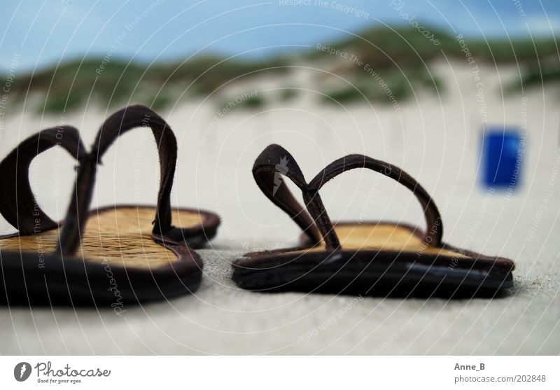 Hennes und Mauritz am Strand Sommer Sommerurlaub Natur Landschaft Sand Küste Schuhe Flipflops Erholung trendy einzigartig nah blau braun gelb gold grün
