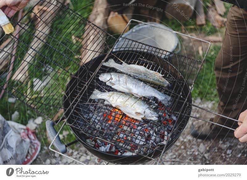 Fische grillen ist besser als Grillen fischen Lifestyle Gesunde Ernährung Freizeit & Hobby Sommer Häusliches Leben Wohnung Garten Feste & Feiern gut Grillrost
