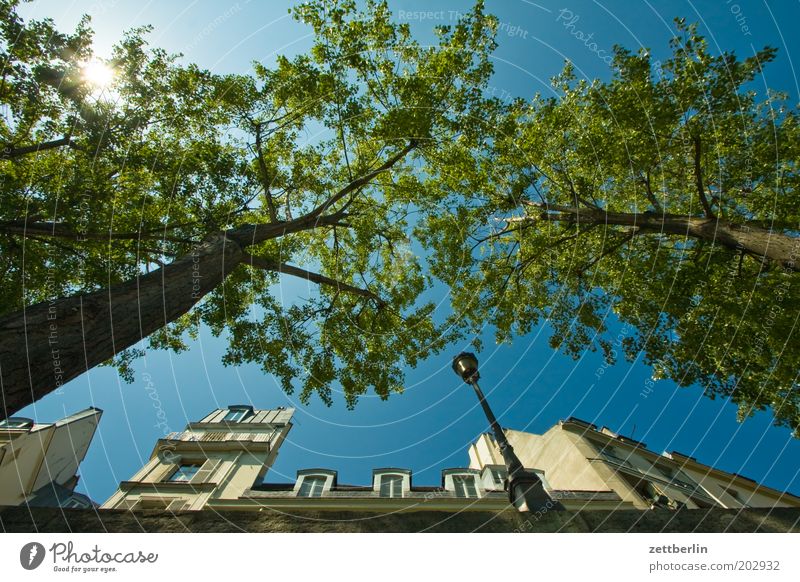 Seineufer Paris Frankreich Anlegestelle Mole Haus Fassade Vorderseite Fensterfront Sonne Sonnenstrahlen Himmel Schönes Wetter Wolkenloser Himmel Baum