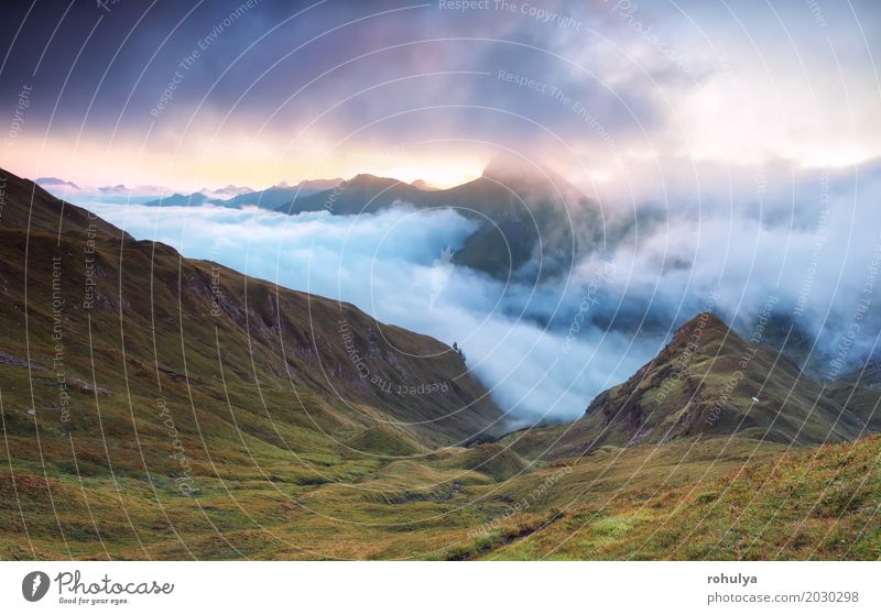 nebligen Sonnenaufgang über Berggipfeln, Alpen Berge u. Gebirge Natur Landschaft Wolken Sonnenuntergang Herbst Nebel Wiese Felsen blau Gipfel alpin