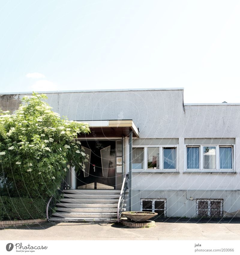 lokal Himmel Pflanze Baum Haus Gebäude Architektur Treppe Fenster Tür trist Farbfoto Außenaufnahme Menschenleer Textfreiraum oben Tag alt