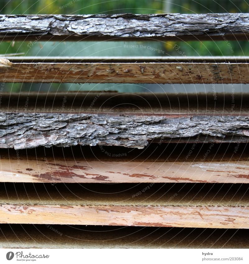 Schichtarbeit Arbeit & Erwerbstätigkeit Tischlerarbeit Schreinerei Handwerk Natur Holz liegen ästhetisch braun grau ruhig Ordnungsliebe Genauigkeit gleich