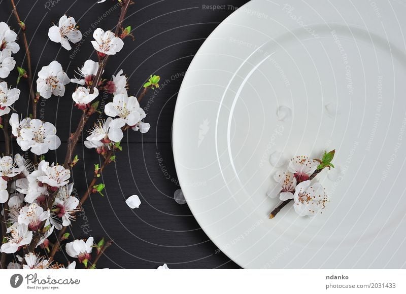 Weiße leere Platte eine Holzoberfläche Mittagessen Abendessen Teller Tisch Küche Restaurant Blume alt oben retro schwarz weiß Speise Mahlzeit Aussicht bügeln