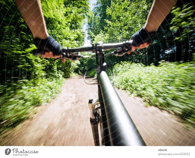 Nur Geniesser fahren Fahrrad Freizeit & Hobby Sport Fahrradfahren Mensch 1 Natur Wald Wege & Pfade Geschwindigkeit Mountainbike Freestyle Farbfoto Außenaufnahme