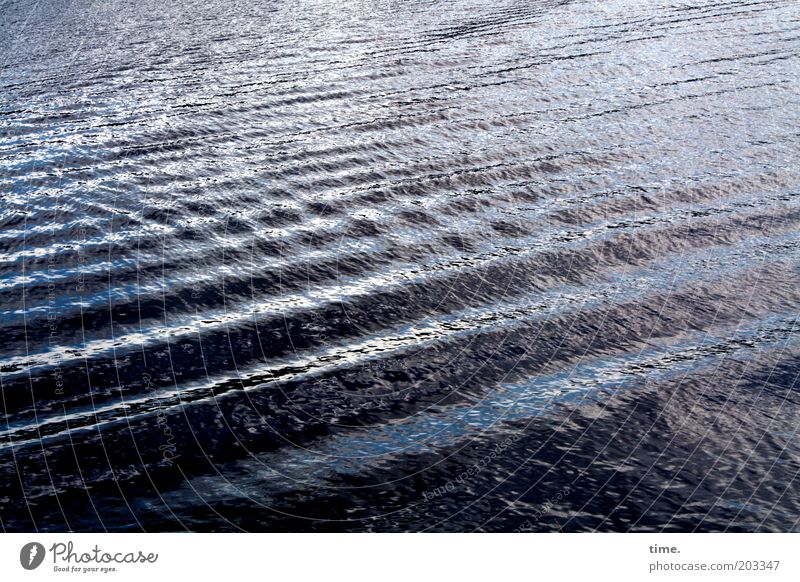 Sturmwarnung Wasser Wellen Urelemente Reflexion & Spiegelung Außenaufnahme blau Strukturen & Formen nass kalt Fluss Elbe Streifen Aggregatzustand feucht