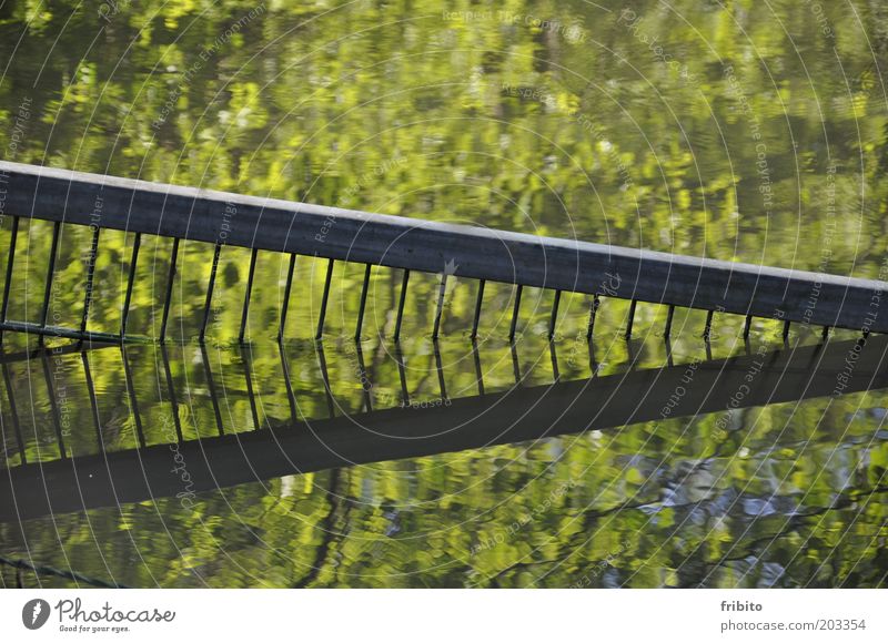 Spiegelung Umwelt Natur Landschaft Urelemente Wasser Sonnenlicht Teich See schön einzigartig nass natürlich grau grün geheimnisvoll Farbfoto Außenaufnahme