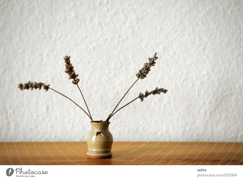 Viererbande Duft Dekoration & Verzierung Tapete Pflanze Kitsch Krimskrams stehen klein trocken braun grau weiß Ordnung Vase Lavendel Tischdekoration Farbfoto