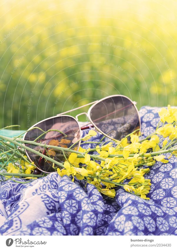 Sonnenbrille Lifestyle Freude Zufriedenheit Erholung ruhig Ferien & Urlaub & Reisen Ausflug Freiheit Sommer Sommerurlaub Sonnenbad Natur Landschaft Pflanze