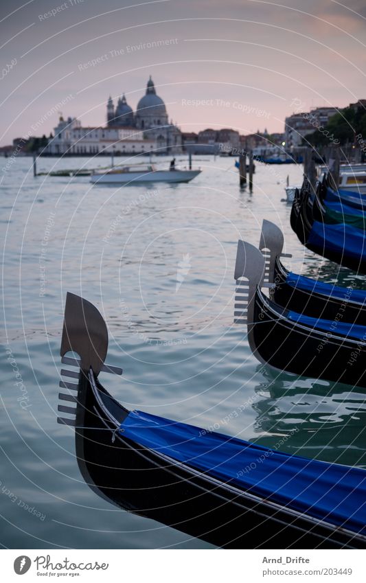 Gondeln in Venedig Leben Erholung Freizeit & Hobby Ausflug Ferne Wetter Gebäude Bootsfahrt Fähre Wasserfahrzeug Bekanntheit Stimmung Fernweh Gondoliere Palazzo
