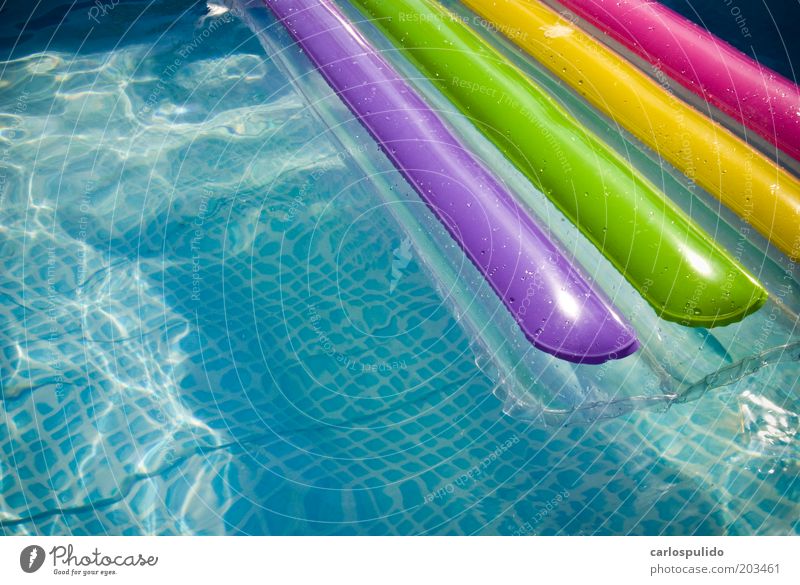 Billard Sommer Sommerurlaub Sonne Schwimmen & Baden genießen Tourismus Schwimmbad Wasser Badeort blau Farbfoto Außenaufnahme Menschenleer Tag Sonnenlicht