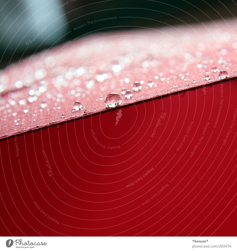 umbrella Wasser Wassertropfen Frühling Wetter schlechtes Wetter Regen Regenschirm Linie Tropfen glänzend dünn frisch nass rot Sicherheit Schutz Natur