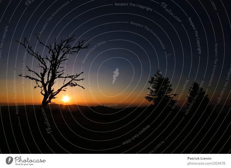 Gut Nacht! Umwelt Natur Landschaft Pflanze Himmel Horizont Sonne Sonnenaufgang Sonnenuntergang Sommer Schönes Wetter Baum Hügel Schwarzwald Nadelbaum blau ruhig