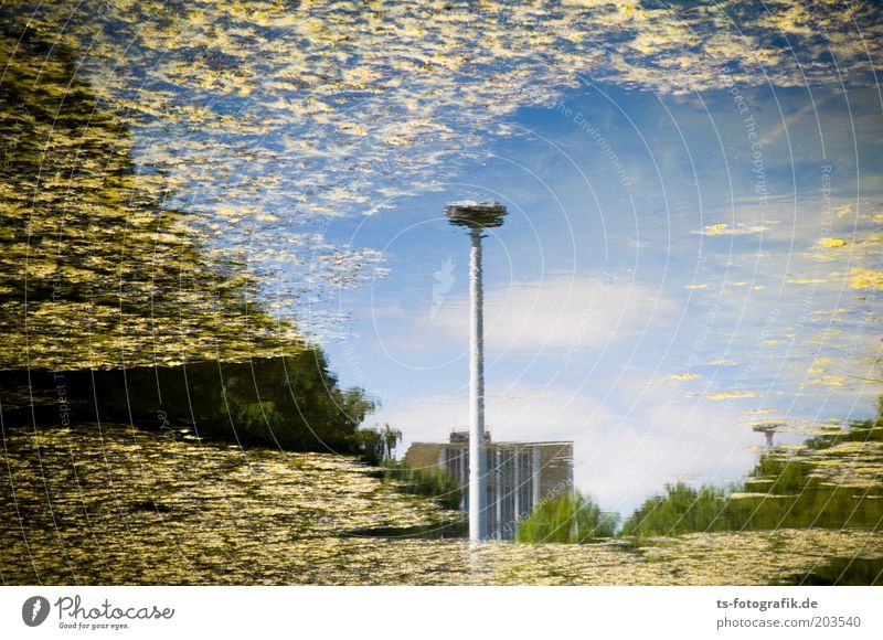 Sterntalerchens Montagsproduktion Wasser Himmel Wolken Wasserpflanze Algen Seeufer Teich Fluss Bremen Haus Straßenbeleuchtung Reflexion & Spiegelung