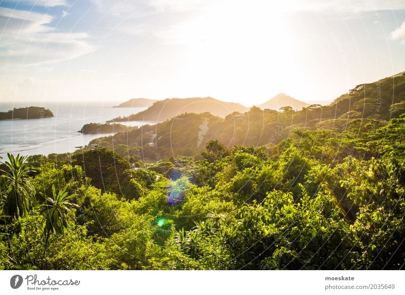 Sonnenuntergang Seychellen Mahe Island Umwelt Natur Landschaft Pflanze Wasser Himmel Wolken Sonnenaufgang Sonnenlicht Sommer Schönes Wetter Baum exotisch Wald