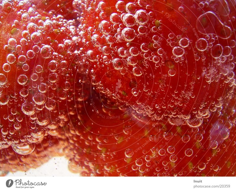 Erdbeeren 03 Sekt Prosecco Sektperlen Alkohol Nahaufnahme