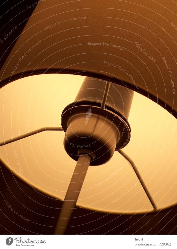Lampenschirm Glühbirne Wohnzimmer Physik gemütlich Häusliches Leben Wärme Halterung