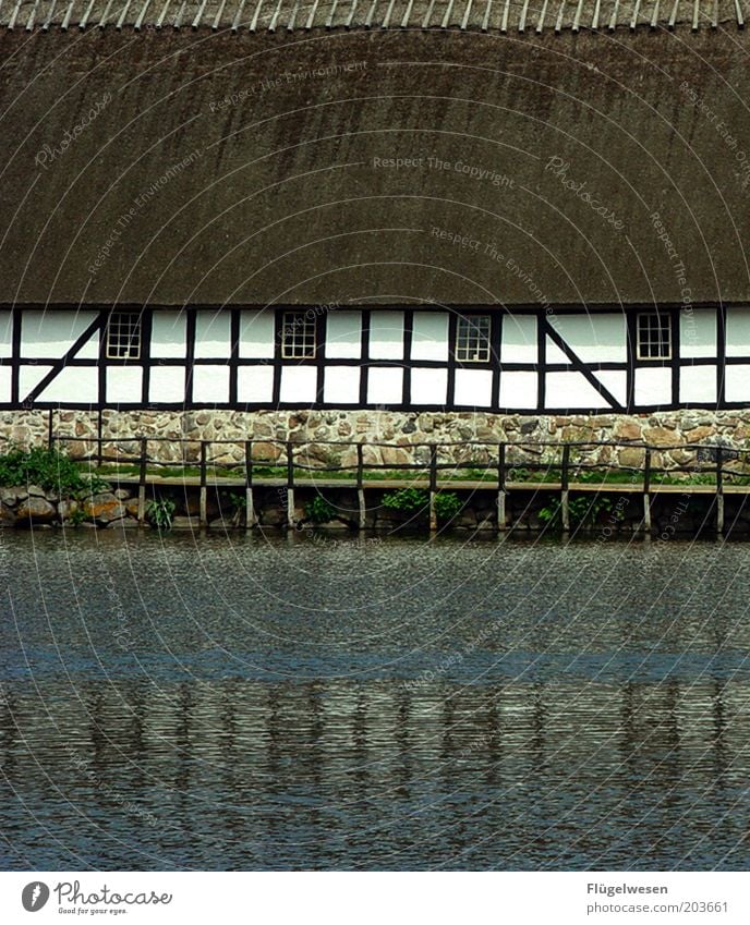 Das Haus am See Sommer Moor Sumpf Teich Fluss Wasser Schutz Freizeit & Hobby Steg Schilfrohr Fachwerkfassade Fachwerkhaus Anlegestelle Dänemark früher Bauernhof