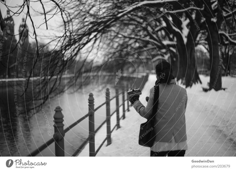 [ 100 ] The Exeption Mensch Umwelt Natur Wasser Schönes Wetter Schnee Baum Park Fluss Isar Stadtzentrum Bewegung entdecken machen außergewöhnlich hell schön