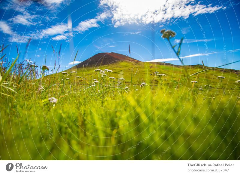 Vulkan Umwelt Natur Landschaft blau grün Gras Heimaey Island Vulkaninsel Himmel Perspektive traumhaft Schönes Wetter Stein Hügel Weide Farbfoto