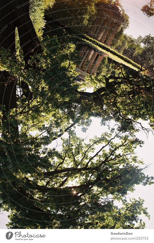 Pavillon Umwelt Natur Wasser Schönes Wetter Baum Park See Menschenleer alt hell Stimmung Farbfoto Außenaufnahme Reflexion & Spiegelung Starke Tiefenschärfe