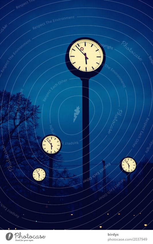 Uhren im Uhrenpark Düsseldorf bei Nacht Zeit Zeitumstellung Pünktlichkeit Baum Zeitmanagement Lebenszeit Zifferblatt Sehenswürdigkeit Uhrenzeiger Uhrenvergleich