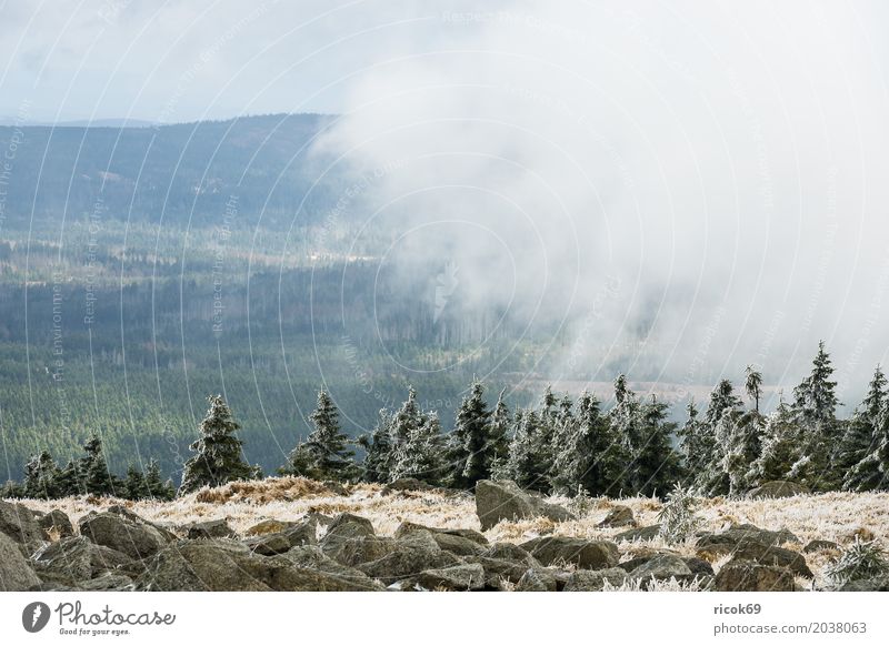 Landschaft mit Schnee auf dem Brocken im Harz Ferien & Urlaub & Reisen Tourismus Berge u. Gebirge Natur Wolken Baum Wald grün Umwelt Reiseziel Sachsen-Anhalt