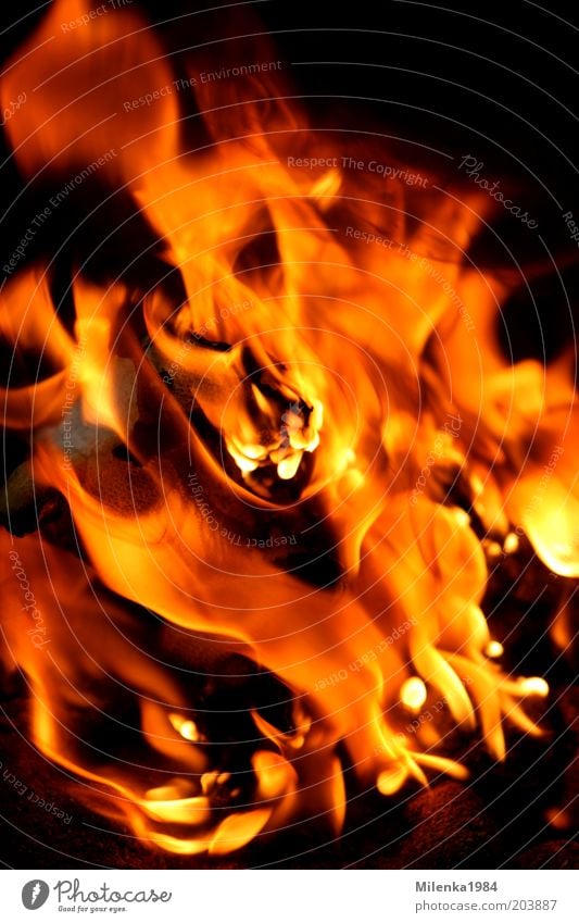 Inferno Urelemente Feuer Sommer heiß hell wild gelb rot brennen Flamme Kohle Wärme Glut Brand Farbfoto Außenaufnahme Nahaufnahme Zentralperspektive
