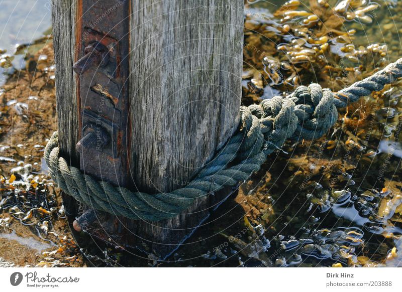 Der rettende Pfahl Meer Natur Küste Bucht Fjord Nordsee Ostsee Hafenstadt Menschenleer Schifffahrt Bootsfahrt Seil Holz Metall Wasser fest braun Kontrolle