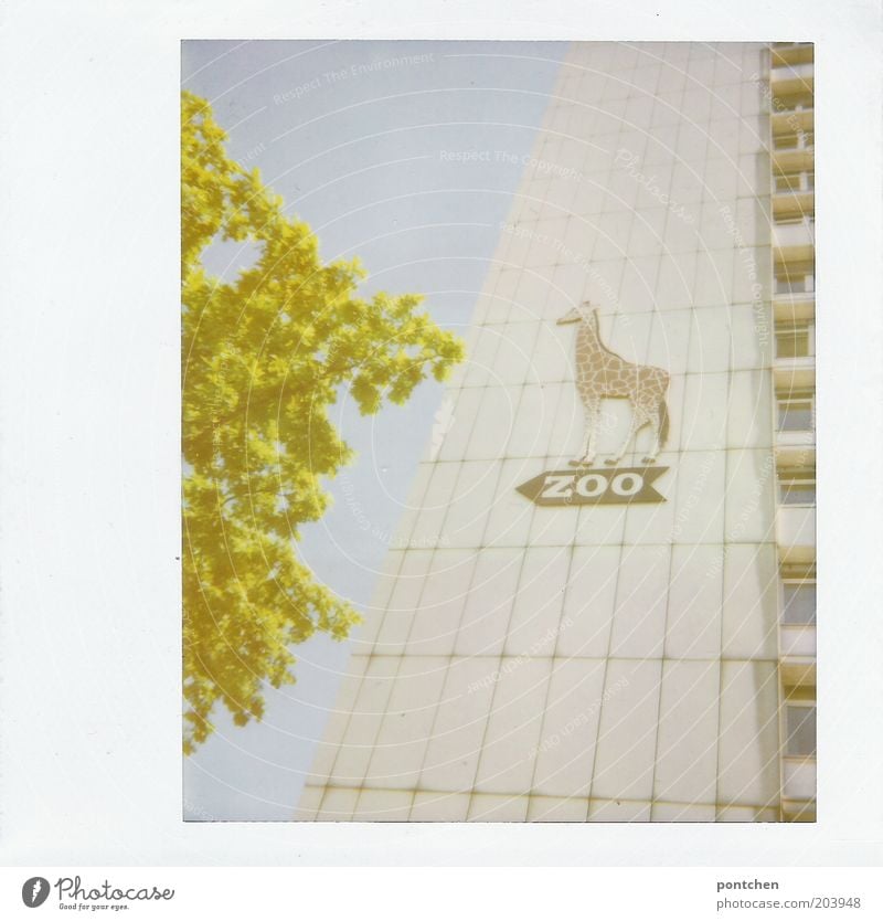 Hochhaus mit einem Wegweiser zum Zoo. Berliner Zoo. Haus Tier Giraffe Zeichen Schilder & Markierungen Richtung Pfeil Farbfoto Außenaufnahme Polaroid