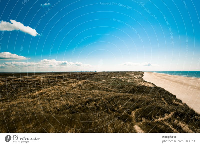 Dänische Weite Landschaft Himmel Wolken Gras Strandhafer Küste Nordsee Sand außergewöhnlich Unendlichkeit blau gelb grün Sehnsucht Fernweh Freiheit Umweltschutz