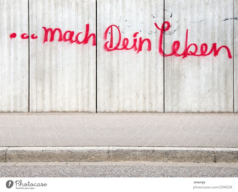 As You Like it Karriere Mauer Wand Schriftzeichen Graffiti machen frei Gefühle Optimismus Beginn Bildung Gesellschaft (Soziologie) Identität Leben planen