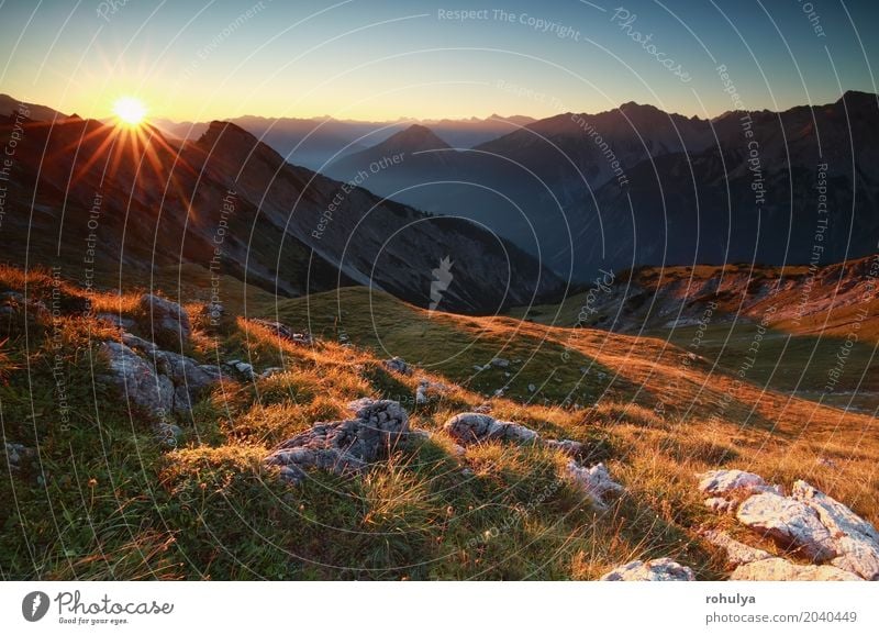 Goldener Sonnenaufgang im Hochgebirge, Österreich Ferien & Urlaub & Reisen Berge u. Gebirge Natur Landschaft Himmel Sonnenuntergang Nebel Wiese Hügel Felsen