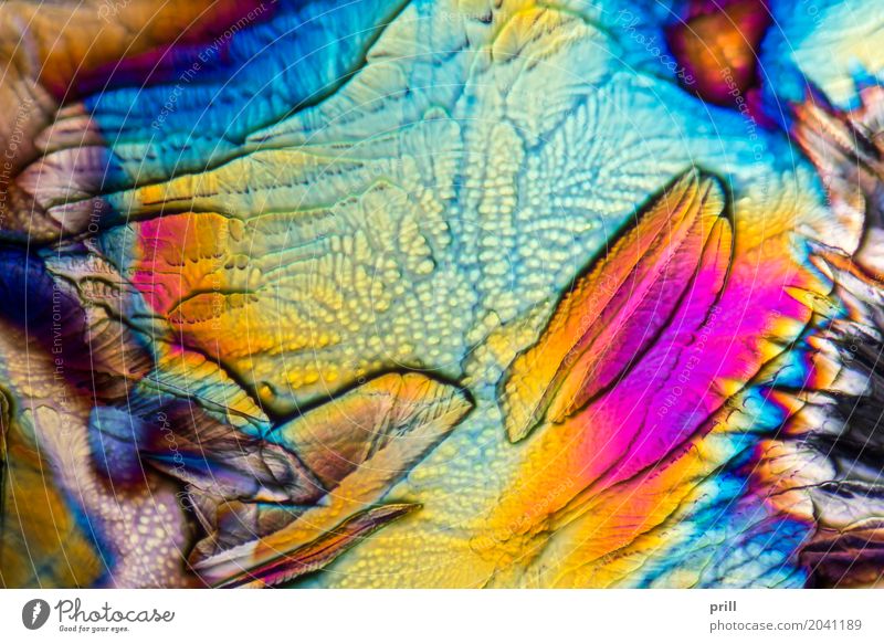 microscopic Galactose crystals Wissenschaften Natur außergewöhnlich galactose d-galactose Zucker mikrokristall halb durchsichtig durchlicht künstlich Mineralien