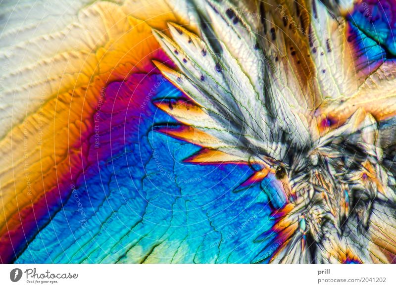 microscopic Galactose crystals Wissenschaften Natur außergewöhnlich galactose d-galactose Zucker mikrokristall halb durchsichtig durchlicht künstlich Mineralien