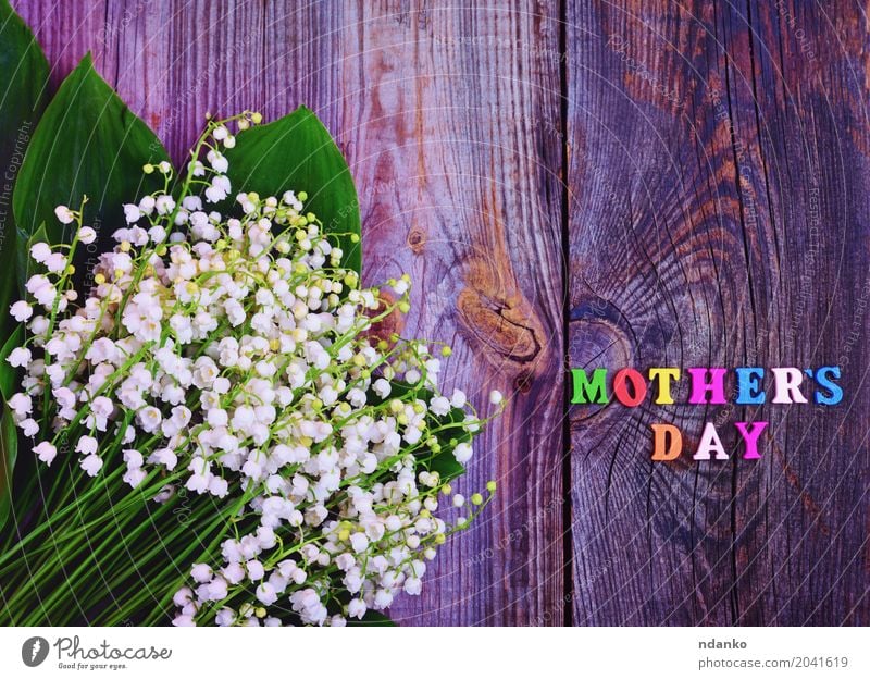 Festlicher grauer hölzerner Hintergrund mit dem Tag der Aufschrift Mutter Muttertag Natur Pflanze Blume Blüte Blumenstrauß Holz alt Blühend hell natürlich