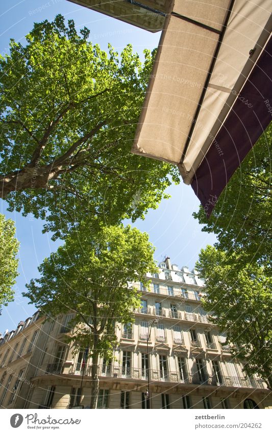 Bd St-Germain Frankreich Paris Hauptstadt Allee Haus Fassade Fenster Fensterfront Architektur Stadt Markise Café Straßencafé Baum Blatt Sommer