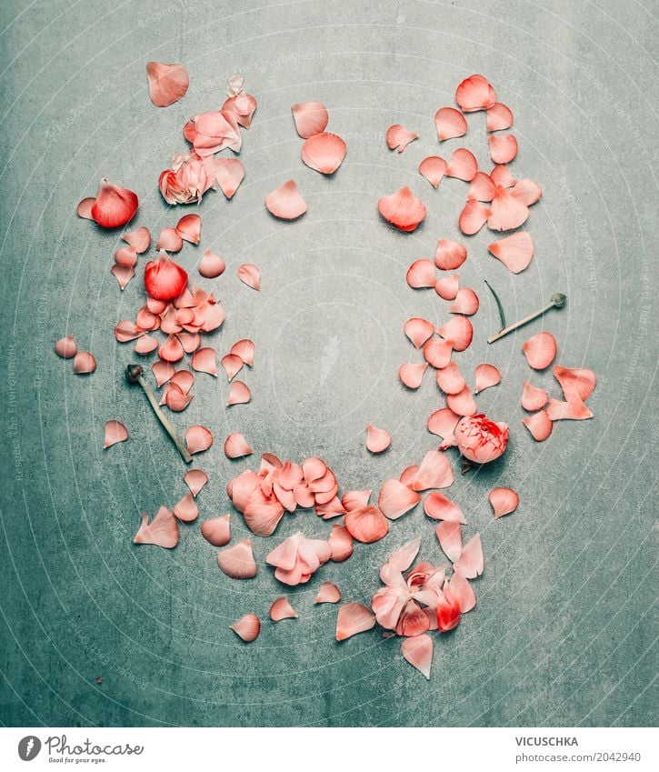 Schöner Blumenrahmen mit rosa Blütenblättern Stil Design Sommer Feste & Feiern Valentinstag Muttertag Hochzeit Geburtstag Natur Pflanze Rose Blatt