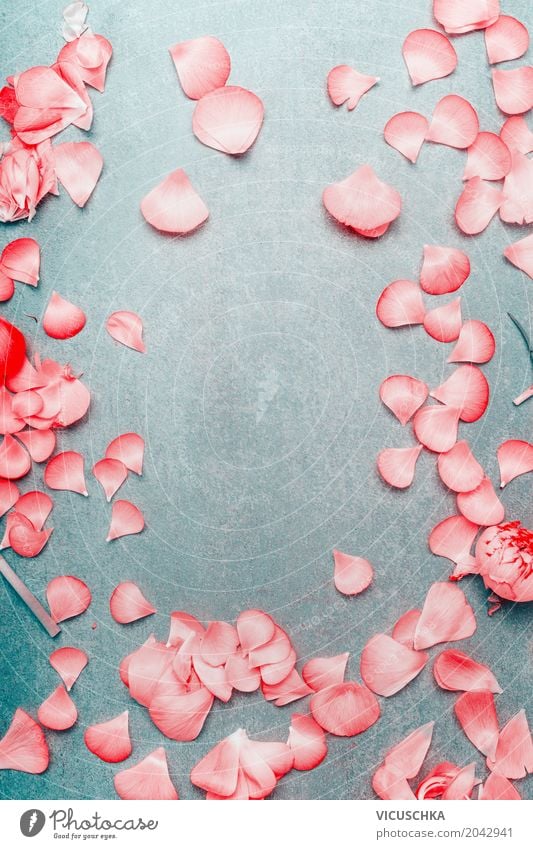 Hübsche rosa Blütenblatter Rahmen Stil Design Dekoration & Verzierung Feste & Feiern Valentinstag Muttertag Hochzeit Geburtstag Natur Pflanze Blume Rose Liebe