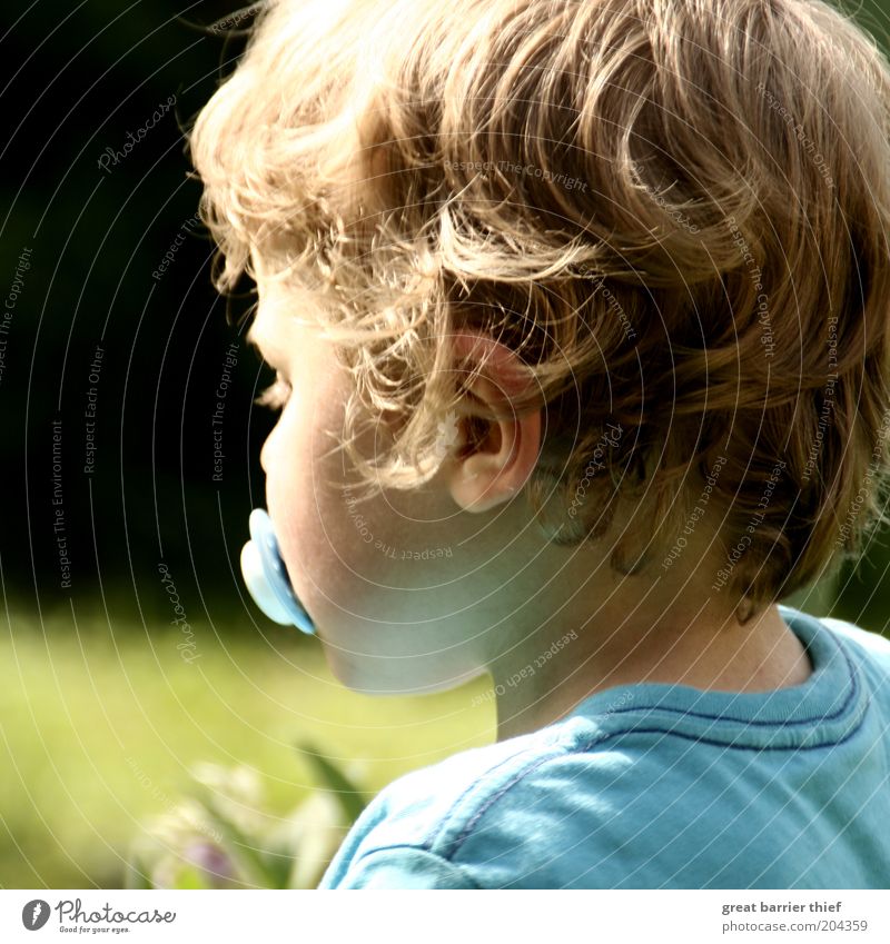 Innere Einkehr Mensch maskulin Kind Kleinkind Junge Kindheit Kopf Haare & Frisuren 1 1-3 Jahre Sommer warten blau Müdigkeit Farbfoto mehrfarbig Außenaufnahme
