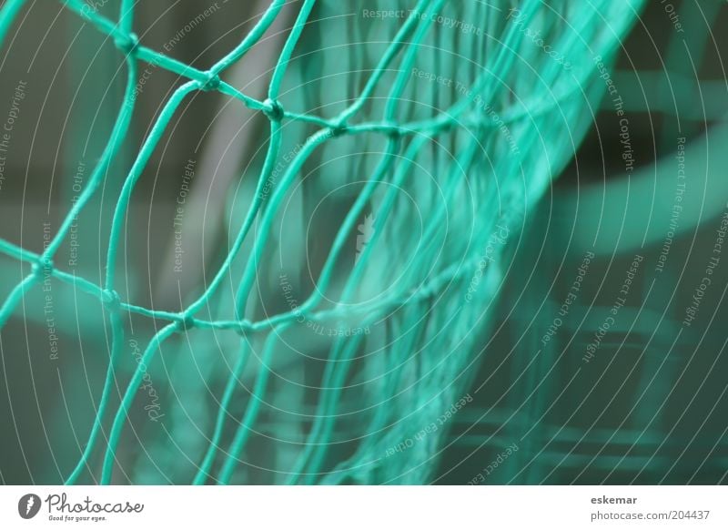 goal Tor grün Bewegung Netz Knoten Knotenpunkt Vernetzung verknüpft Fußballtor Farbfoto mehrfarbig Außenaufnahme Nahaufnahme Muster Menschenleer