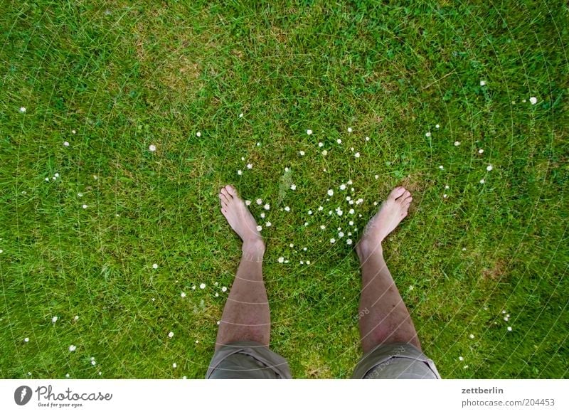 Unterpächter Sommer Beine Fuß Pflanze Frühling Gras Wiese stehen Wachstum standhaft Juni Schienbein Zehen Körperteile Stabilität Männerbein Barfuß Rasen
