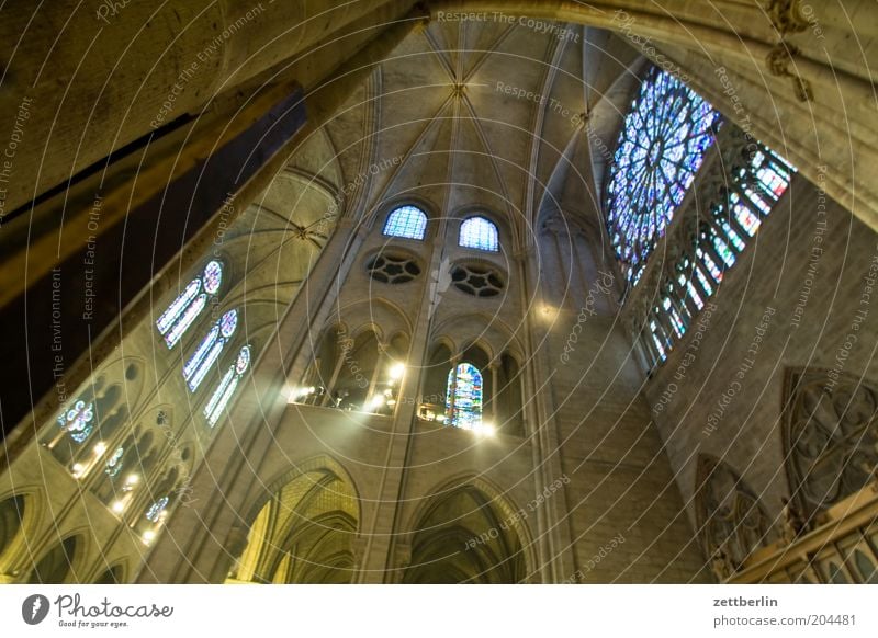 Pfingsten Notre-Dame Kathedrale Religion & Glaube Kirche Dom Gotik Rosette Fenster Licht Lichteinfall Kuppeldach Paris Ile de la Cité seineinsel Frankreich