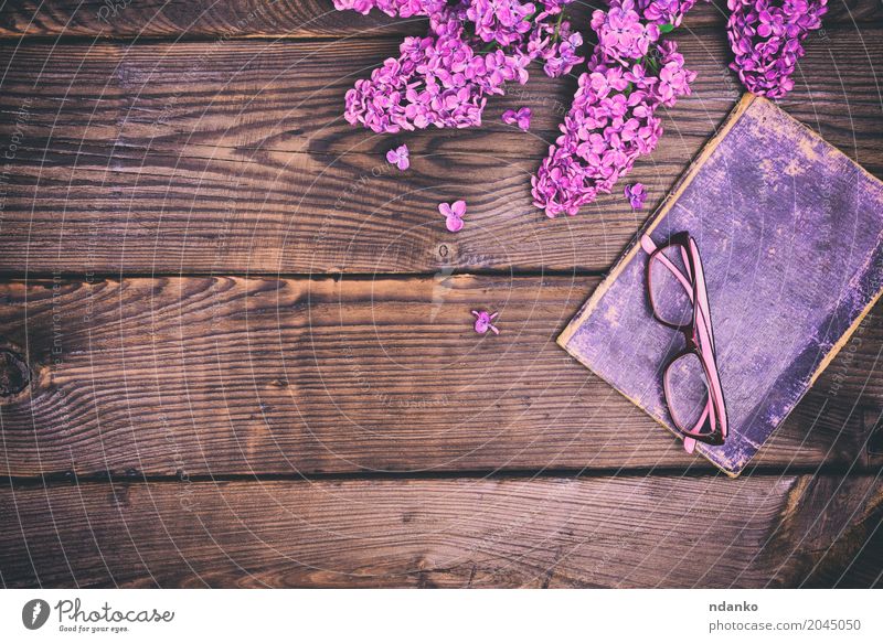 altes Buch in der Abdeckung und in den Gläsern Freizeit & Hobby Bildung Blume Papier Holz Blühend lernen retro braun violett Deckung Brille Rand Fliederbusch