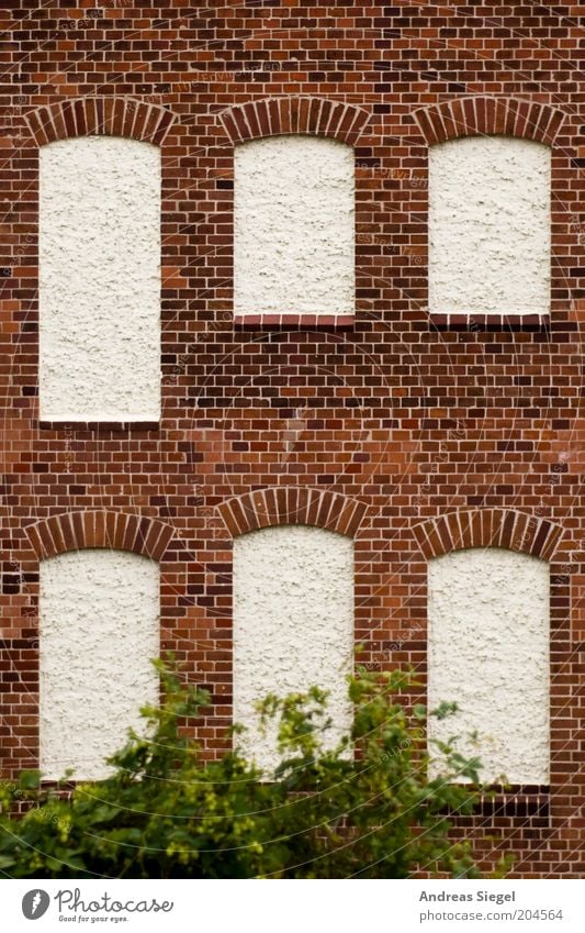 Fenster ohne Aussicht Pflanze Sträucher Grünpflanze Haus Gebäude Architektur Mauer Wand Fassade Backsteinfassade Stein trist braun weiß verputzt Farbfoto