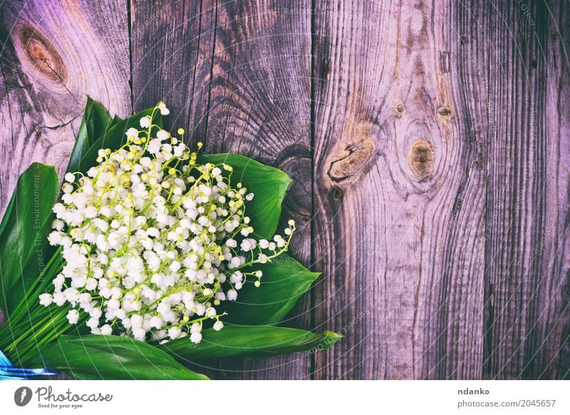 Blumenstrauß aus weißen Maiglöckchen schön Natur Pflanze Holz Blühend hell klein grau grün Überstrahlung Frühling duftig Vorbau Hintergrund Leerraum