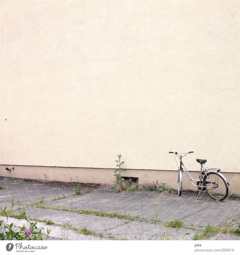 fahrrad Pflanze Gebäude Mauer Wand Fassade Fahrrad gelb grau Farbfoto Außenaufnahme Menschenleer Textfreiraum oben Textfreiraum Mitte Tag Zentralperspektive