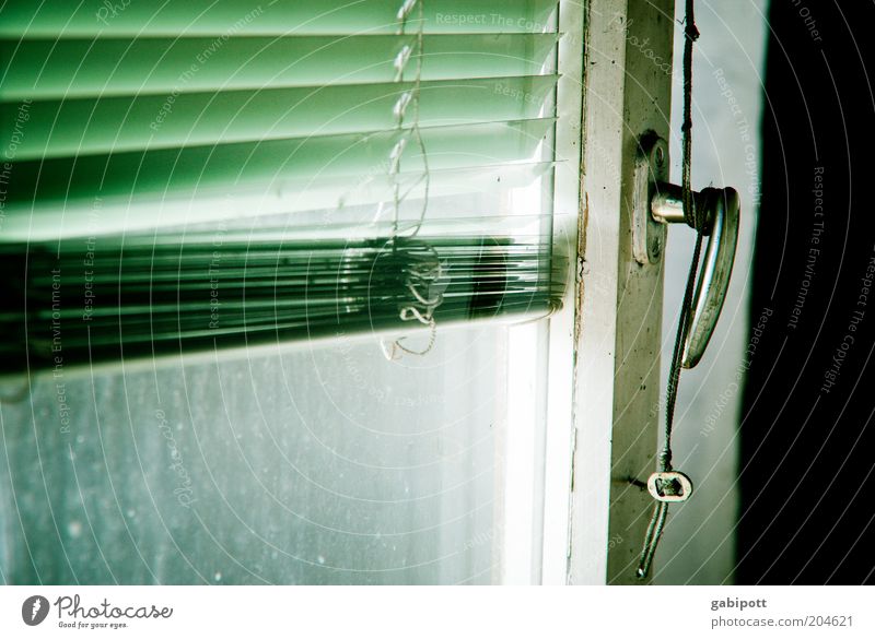 Das Fenster zum Hof Gebäude Jalousie Griff Knauf Glas alt kaputt grün schwarz weiß offen Gedeckte Farben Innenaufnahme Menschenleer Tag Licht Schatten Kontrast